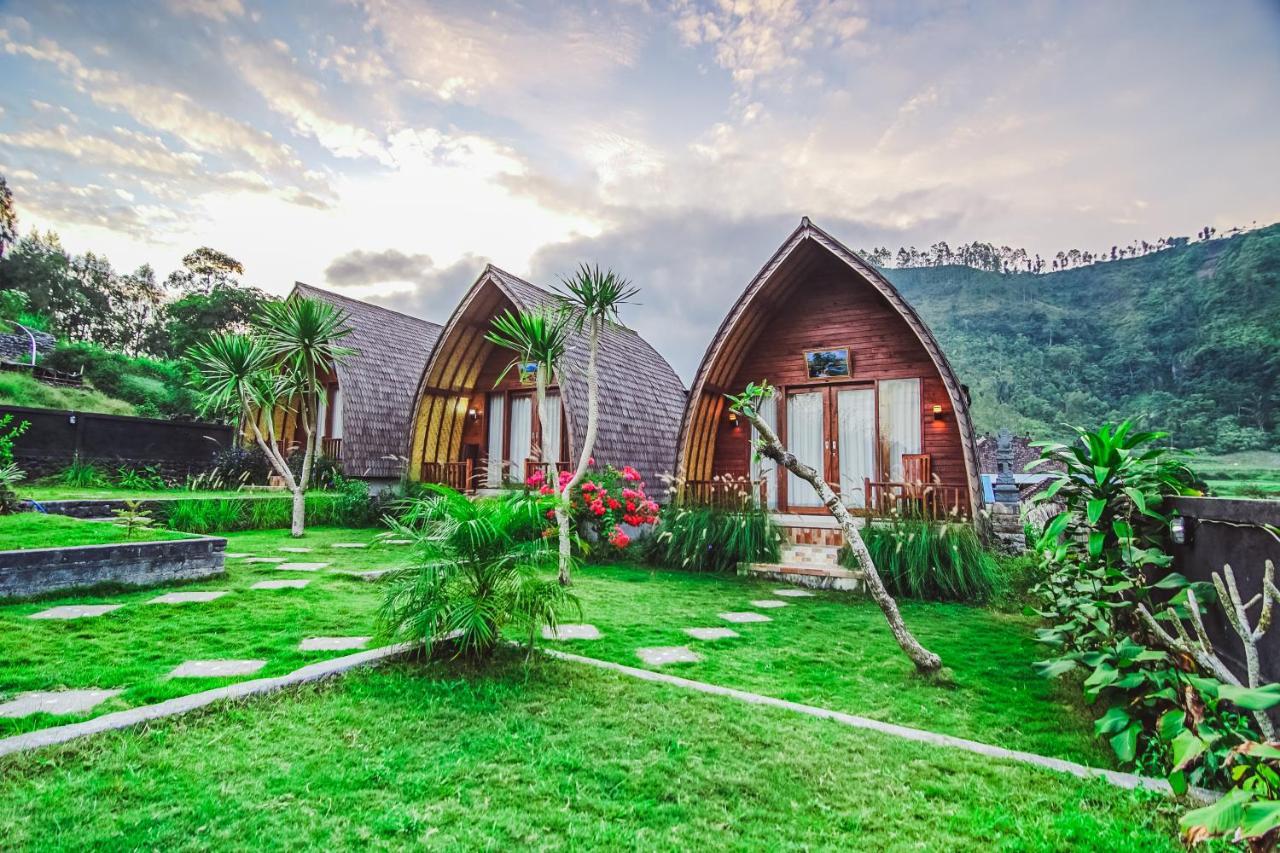 Bali *